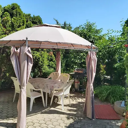 Haus Veiger 1 Apartmán